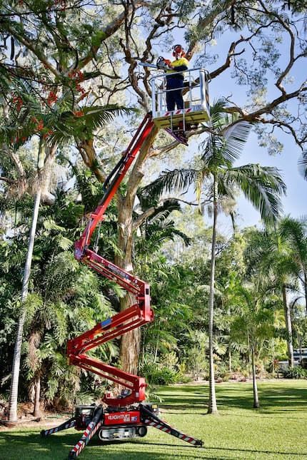 A Person Ascending in a Lift Attached to a Tree, Showcasing Tree Change NQ - Tree Services in Townsville, QLD