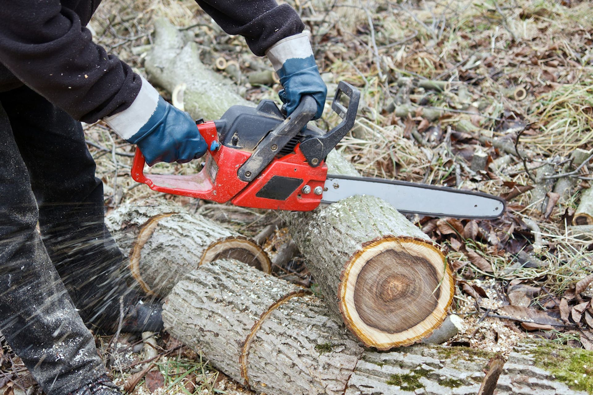 A Yellow Stump Grinder Is Cutting A Tree Stump In The Grass in Townsville, QLD