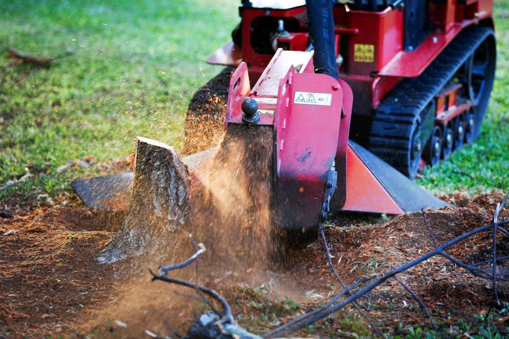 stump grinding closer look