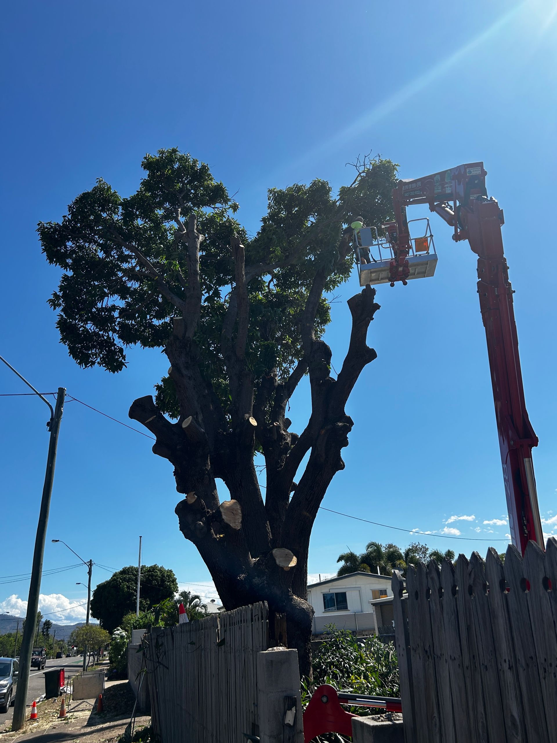 A Man Is Standing Next To A Large Log Being Lifted By A Crane - Tree Services in Townsville, QLD