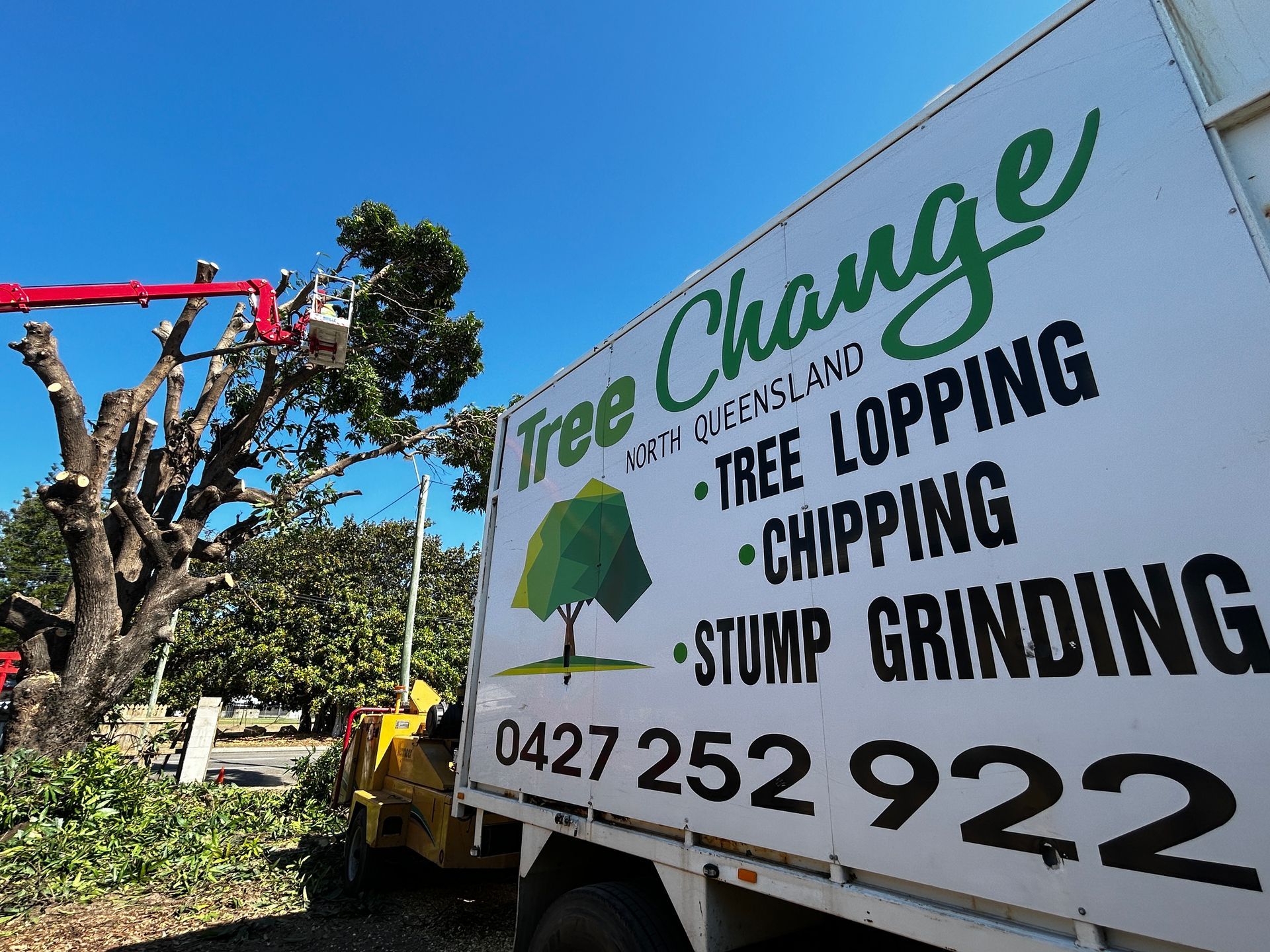 Expert Tree Pruning Services in Townsville By Tree Change NQ Ensure Optimal Tree Care and Maintenance - Tree Services in Townsville, QLD