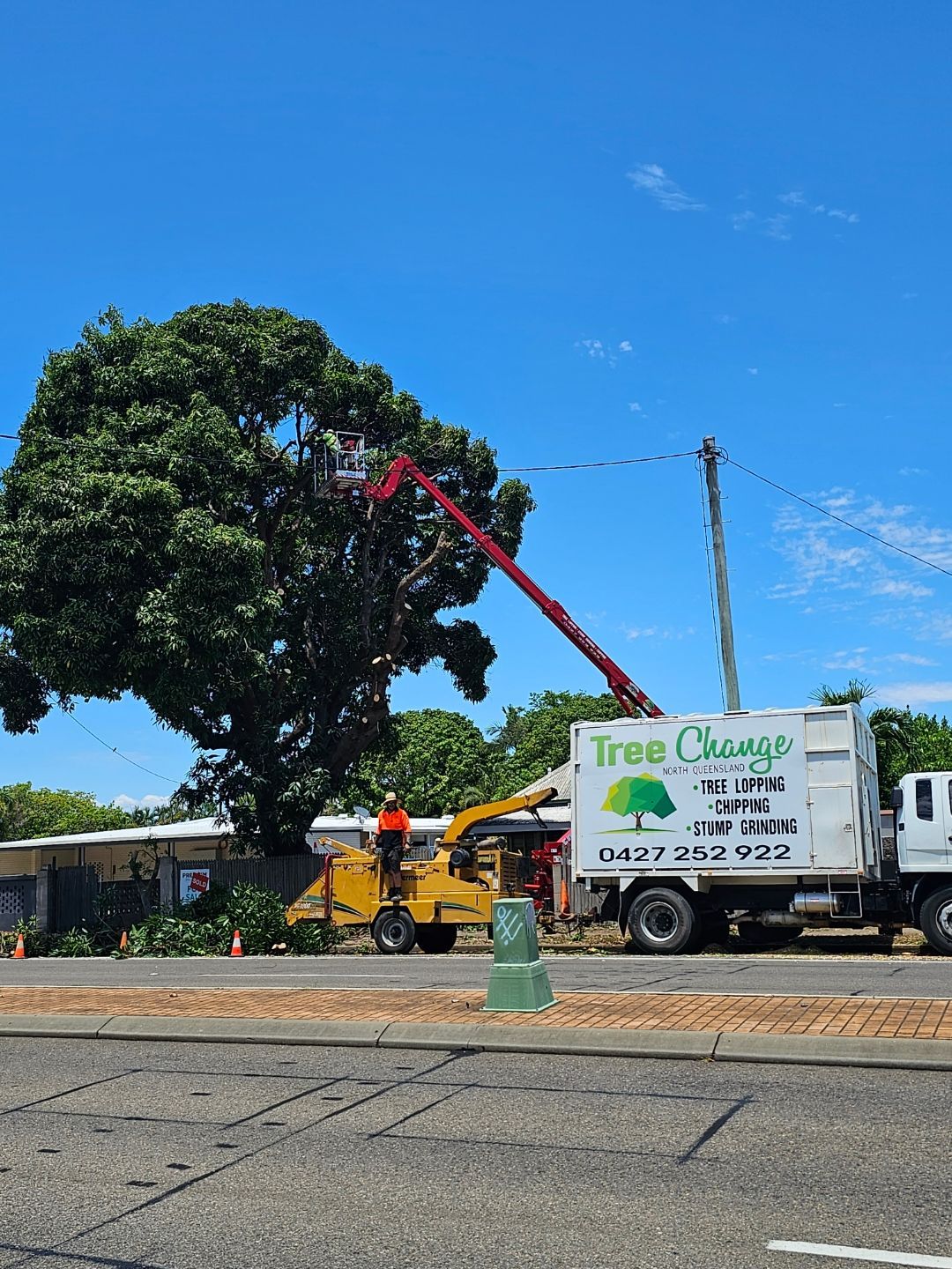 A Person Ascending in a Lift Among The Branches of a Tree - Tree Services in Townsville, QLD