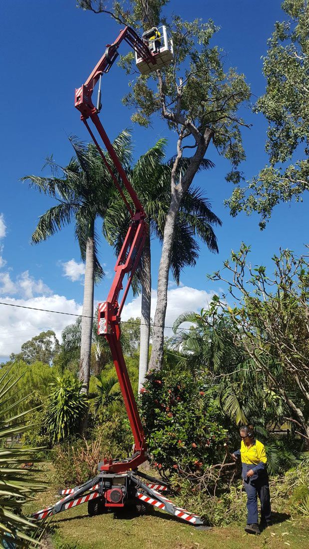 Arborist on a crane