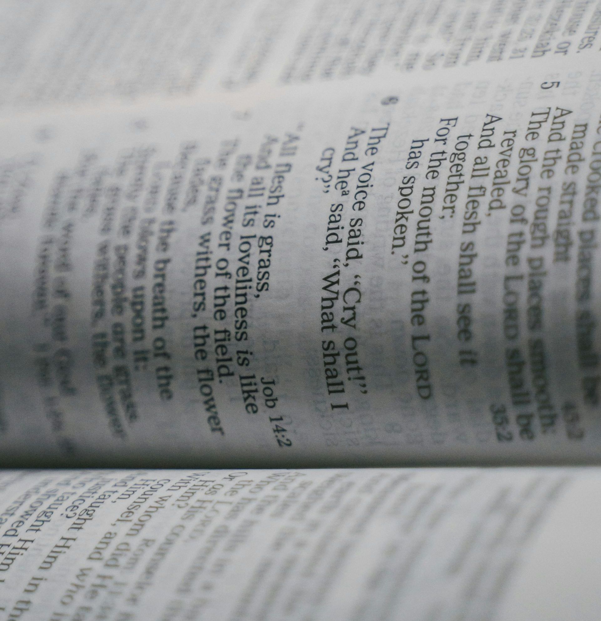 Opengeslagen Bijbelpagina's, tekst in zwarte letters, met een vage focus op een specifiek vers.