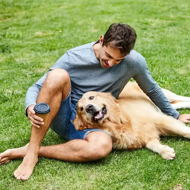 Person with curly hair reads a book in bed, cuddling a golden retriever dog. Sunlight streams in.