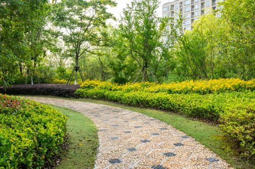 A stone path in a park surrounded by trees and bushes.