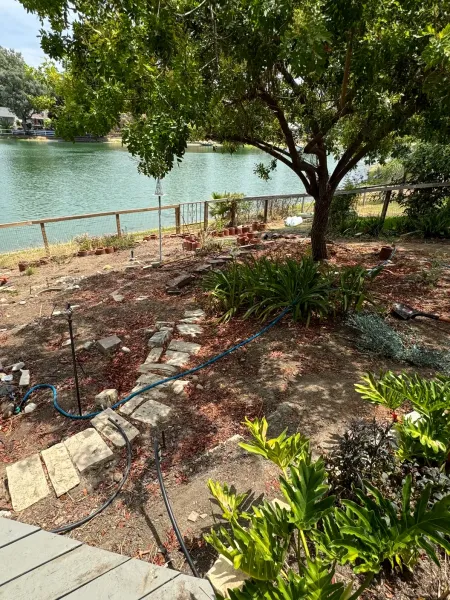 There is a tree in the middle of a garden next to a lake.