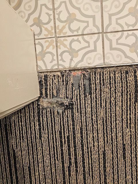 wrinkle carpet repair services san diego 
