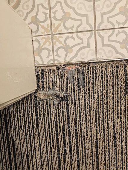 carpet repair wrinkle oceanside 