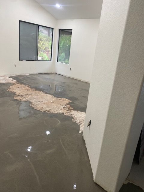 A living room with a concrete floor and two windows.