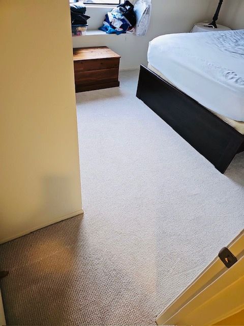 Expert carpet installation and repair services throughout San Diego County.