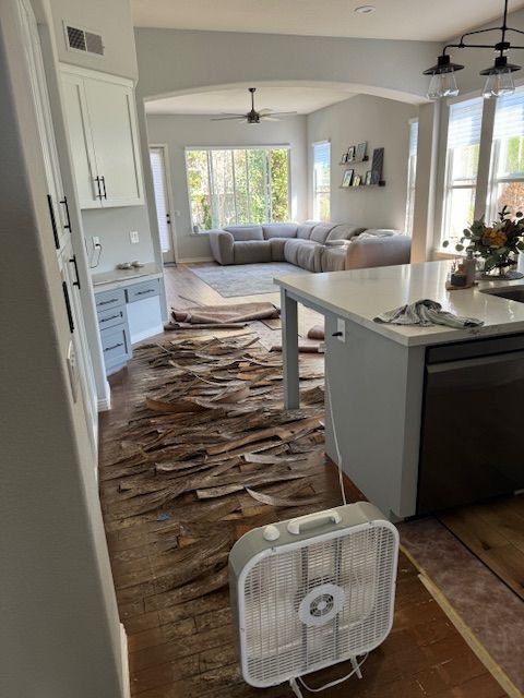 Trust San Diego's Finest Flooring for professional floor repairs in Carlsbad.