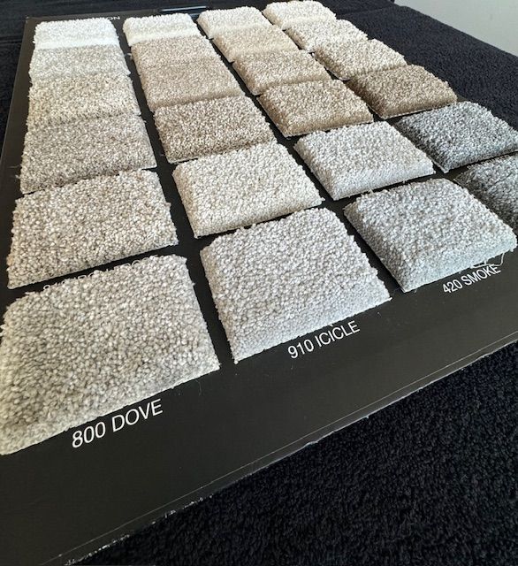 plush carpet from dreamweaver solana beach showroom