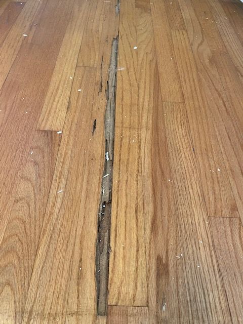 Top-rated Solana Beach flooring and carpet experts