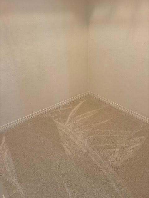 new carpet job in encinitas ca