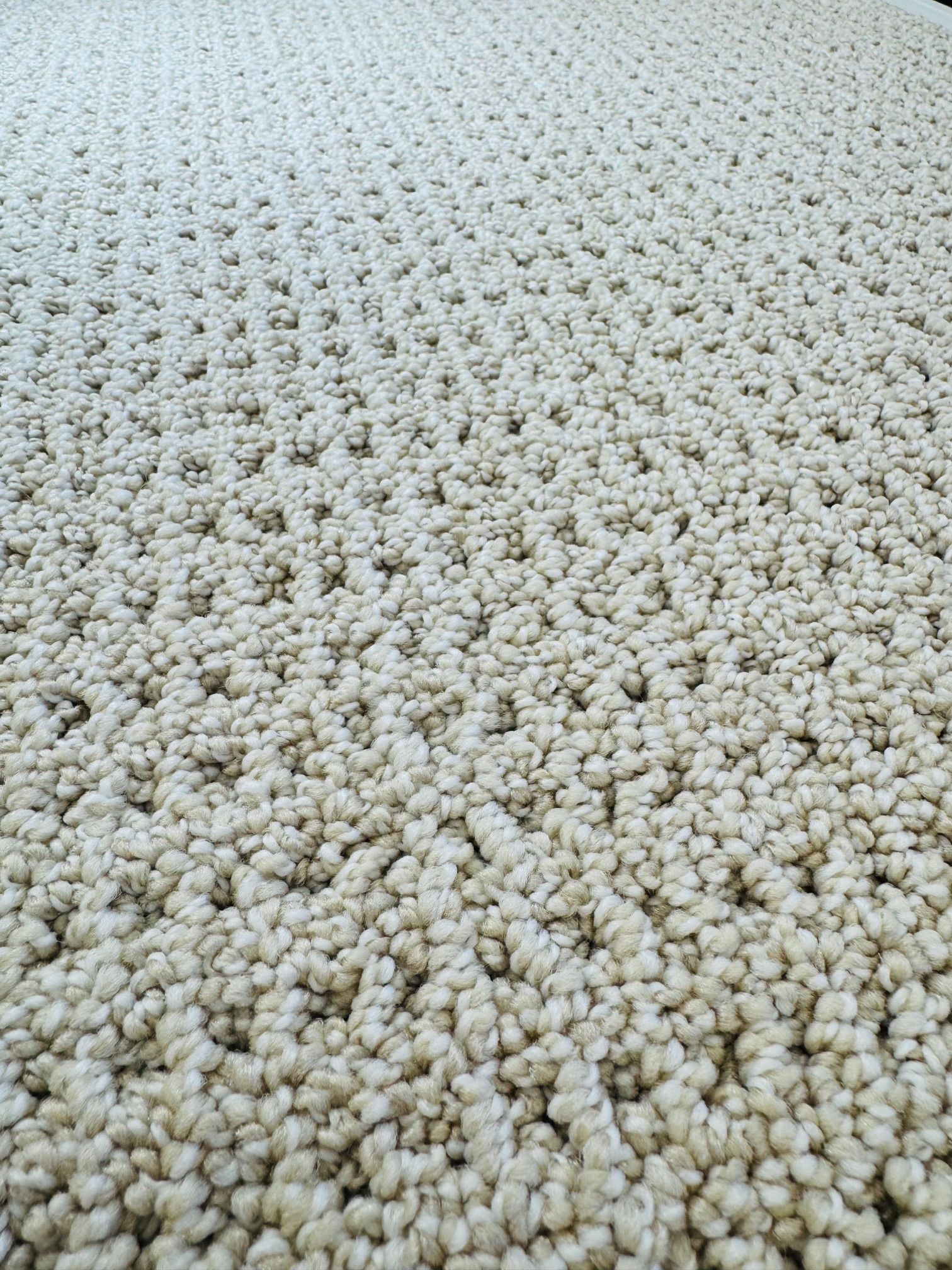 san diego's finest floor showroom carpet sample