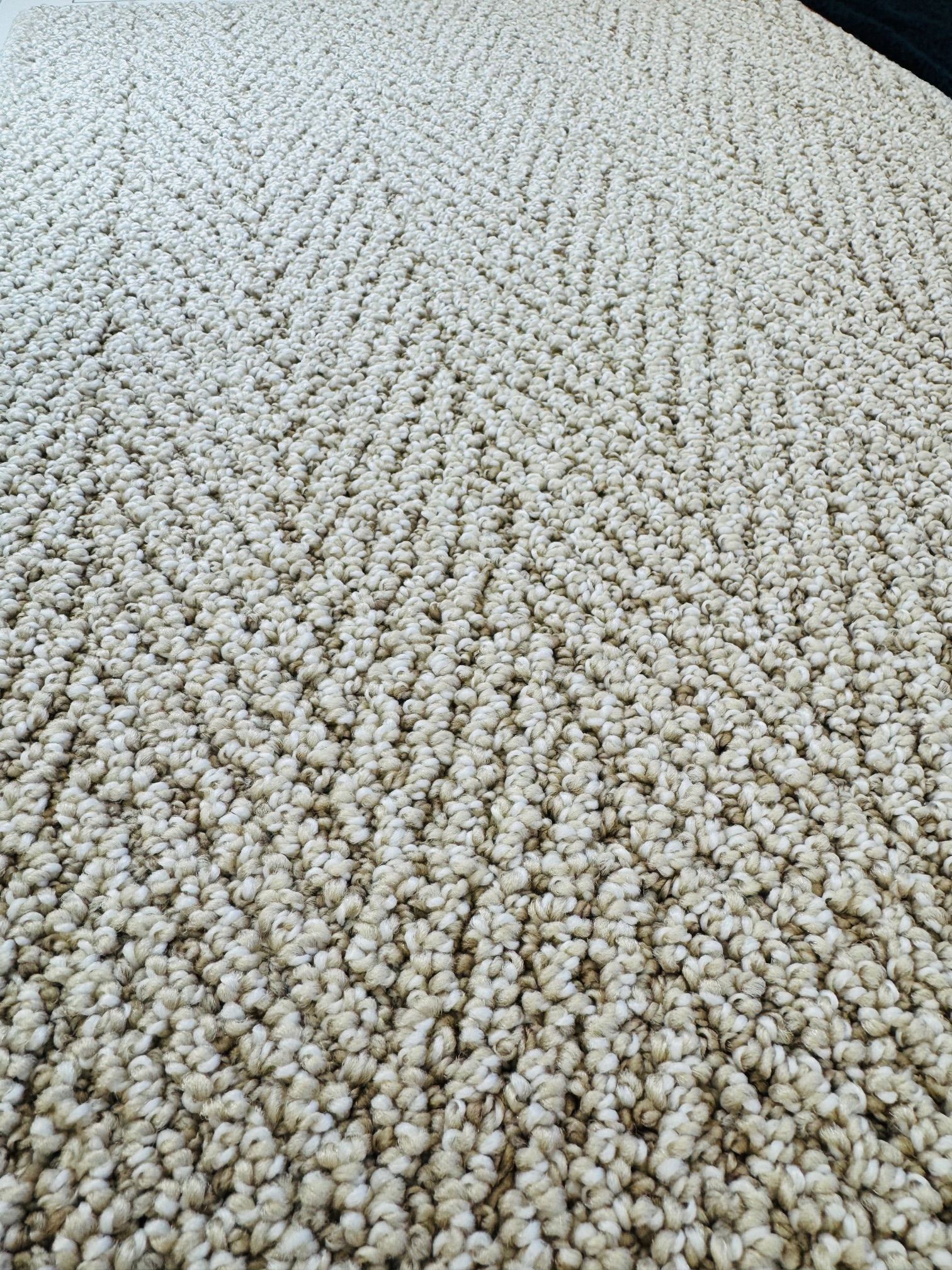 herringbone carpet sample from dreamweaver san diego's finest flooring