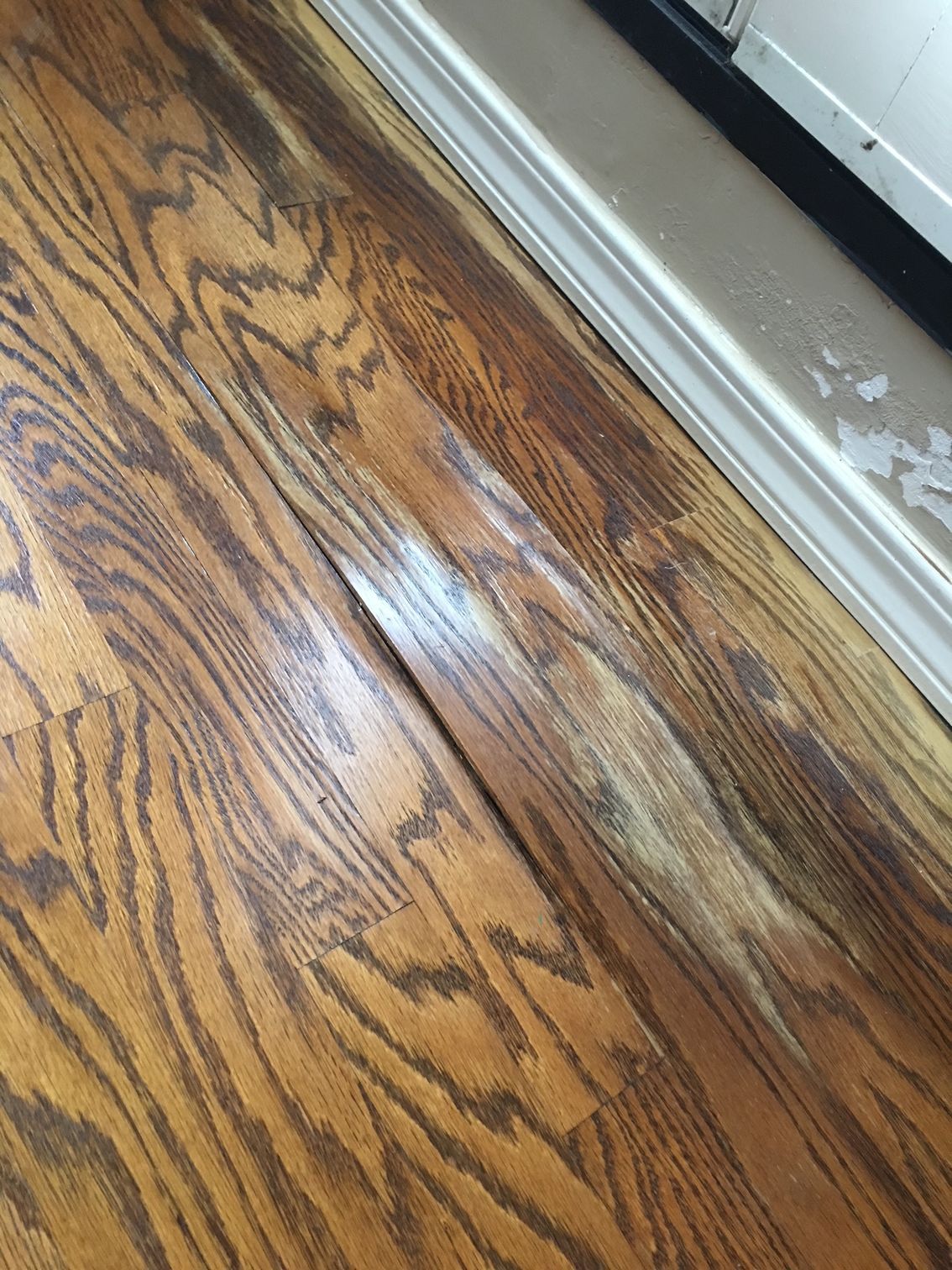 Hardwood floor refinishing services by coastal professionals
