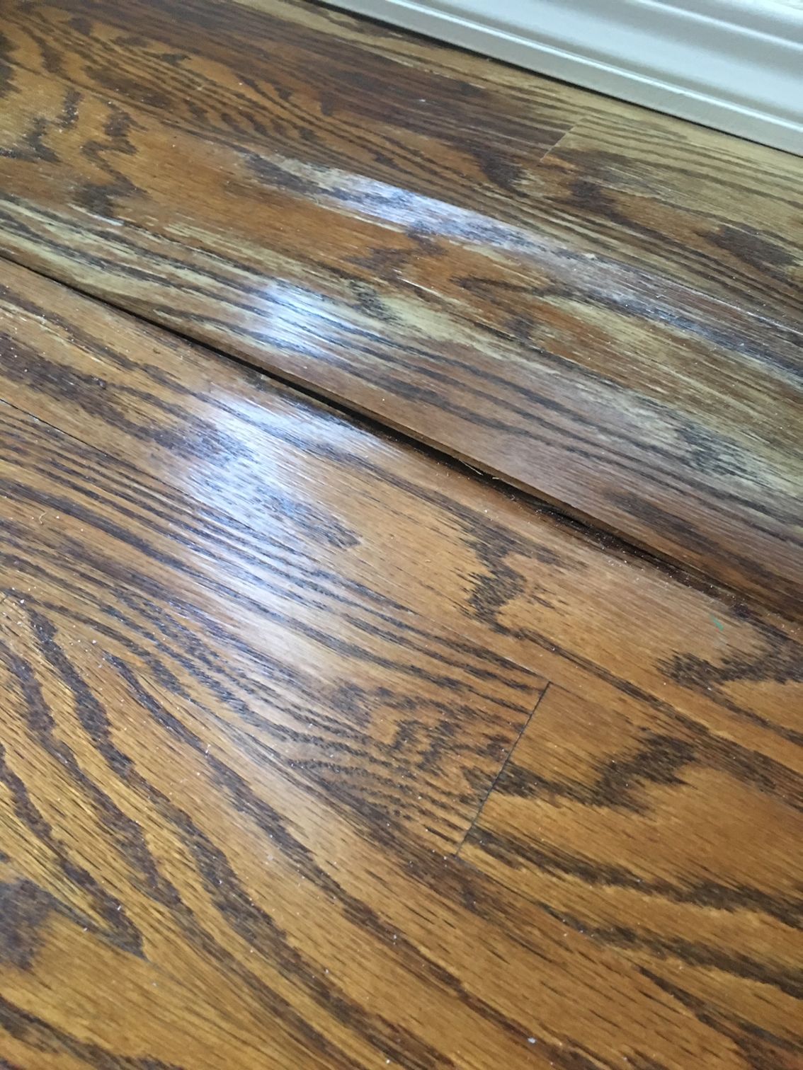 Affordable carpet installation near Solana Beach showroom
