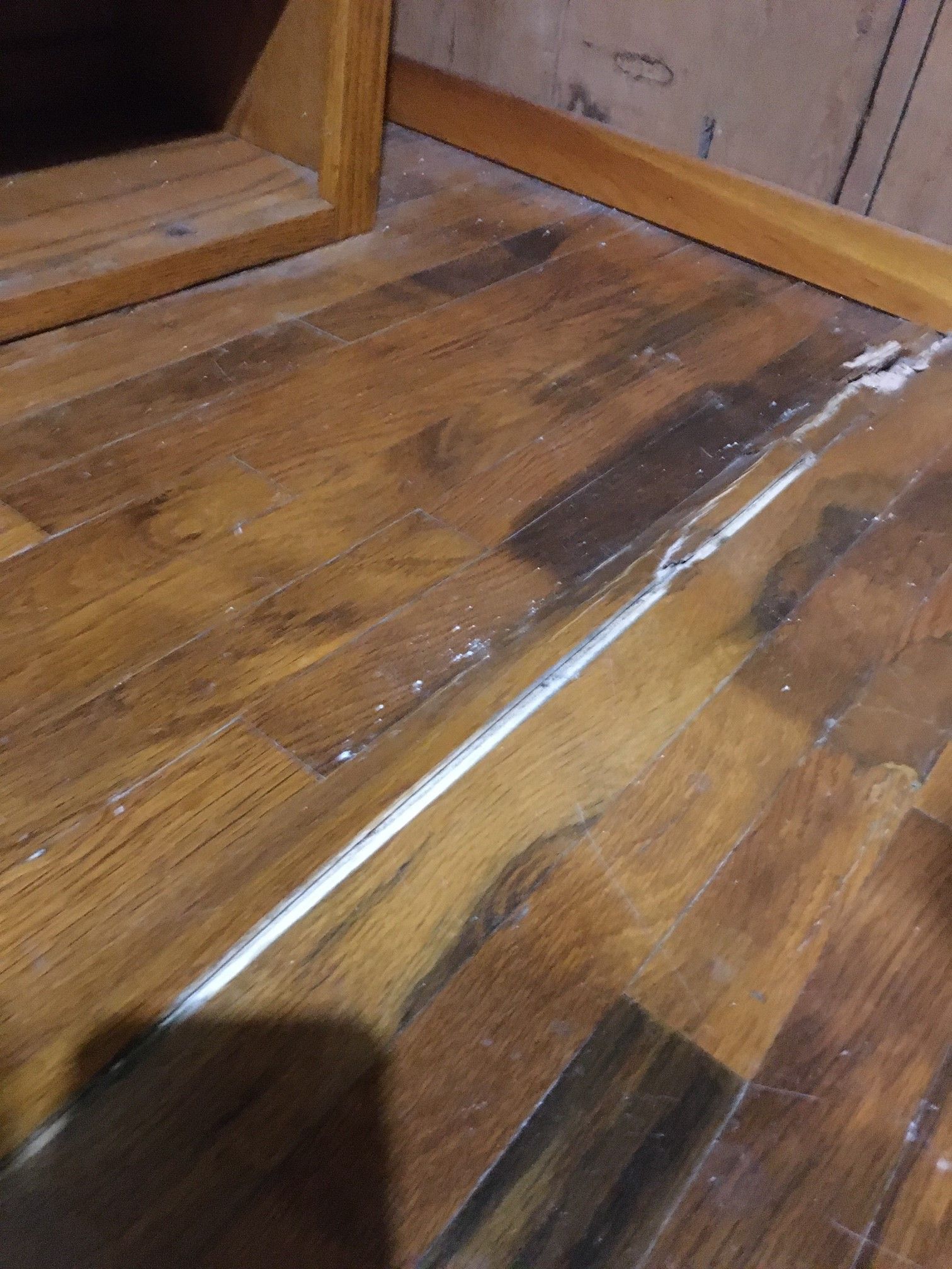 Experienced flooring team at Solana Beach showroom
