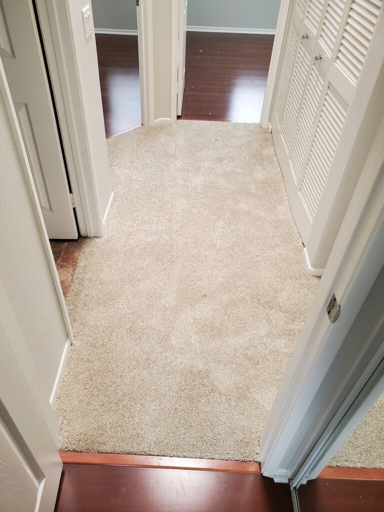 Solana Beach team for flooring and carpet installs
