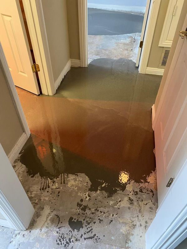 A hallway with a puddle of water on the floor.