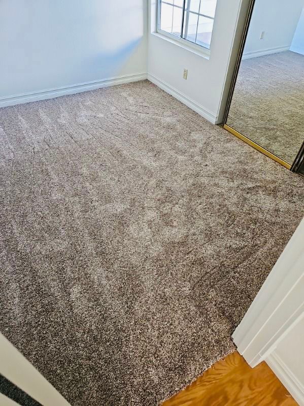 High-quality carpet installation and repairs for homes in Coronado.