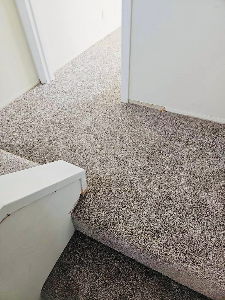 Professional carpet installation and repairs for properties in Pacific Beach.