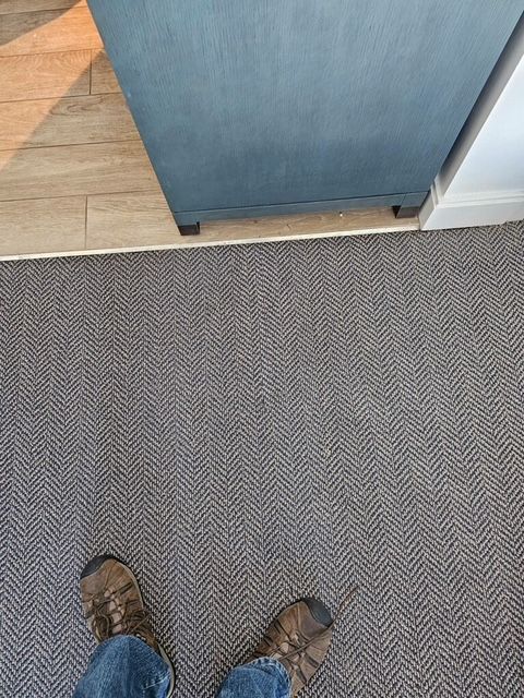 encinitas carpet repairs
