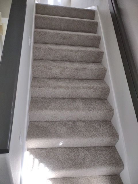 San Diego flooring showroom with expert carpet solutions
