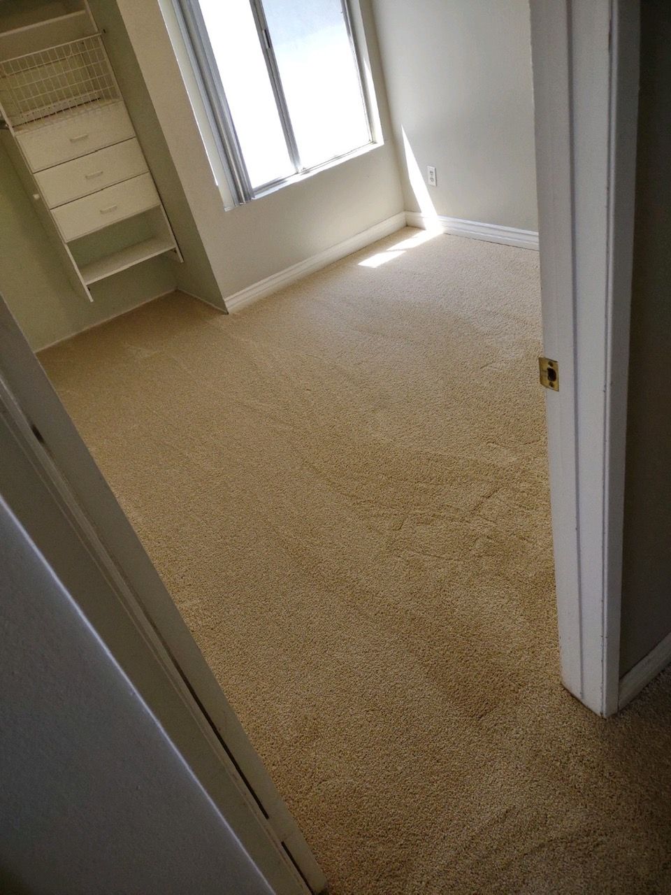 Carpet and flooring services available in San Diego
