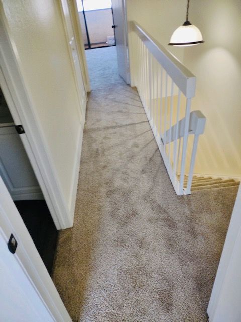 Carmel Valley flooring showroom featuring top carpets