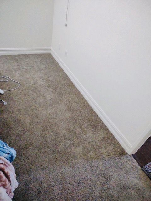 Carpet installation and repairs in Del Mar, CA