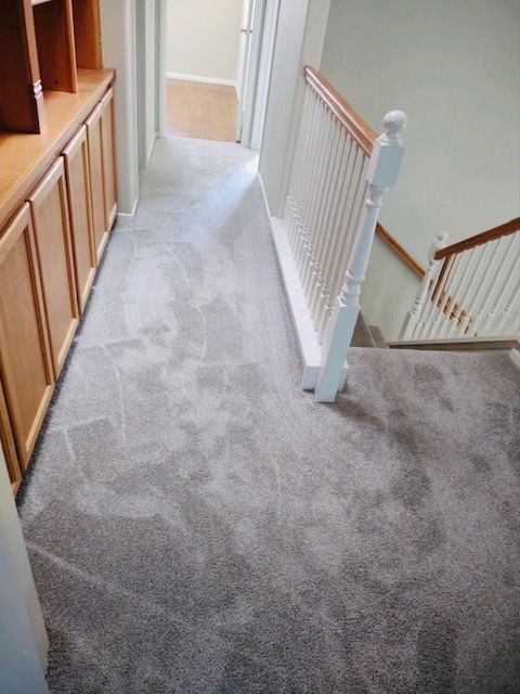 Professional carpet services in Solana Beach showroom