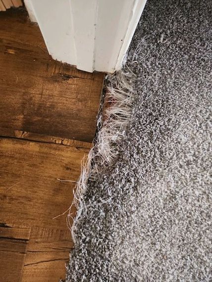 carpet repair wrinkle oceanside 