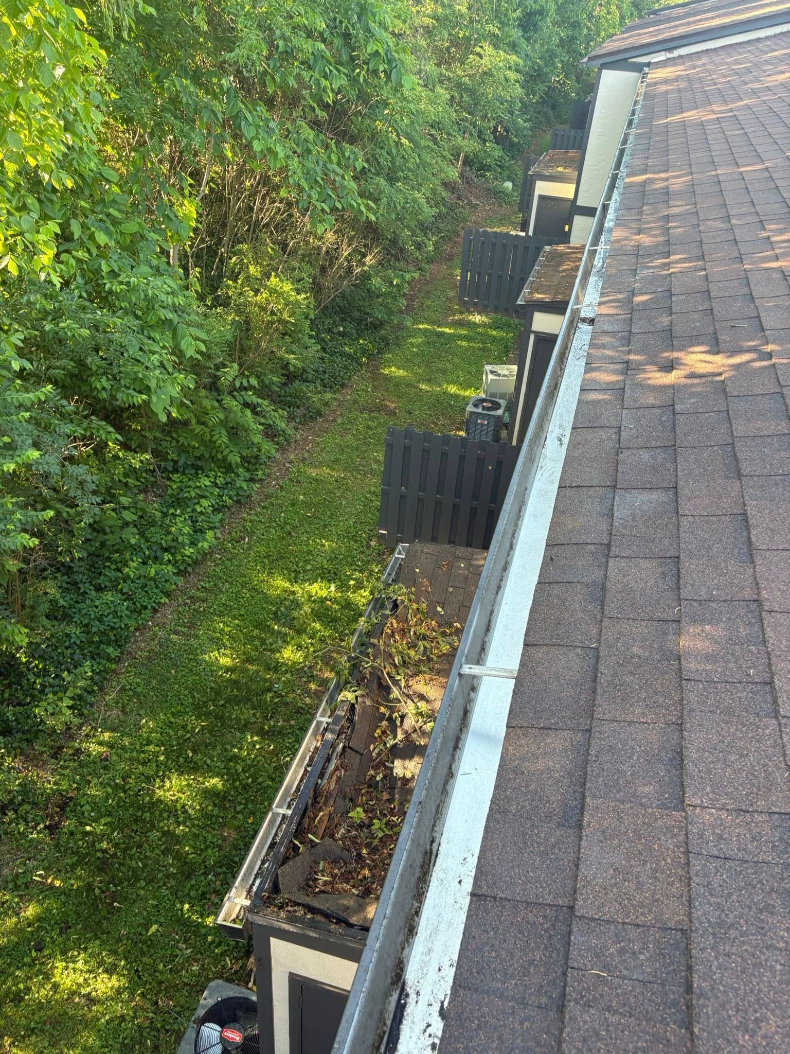 Gutter filled with debris on a roof, next to a treeline and green grass.