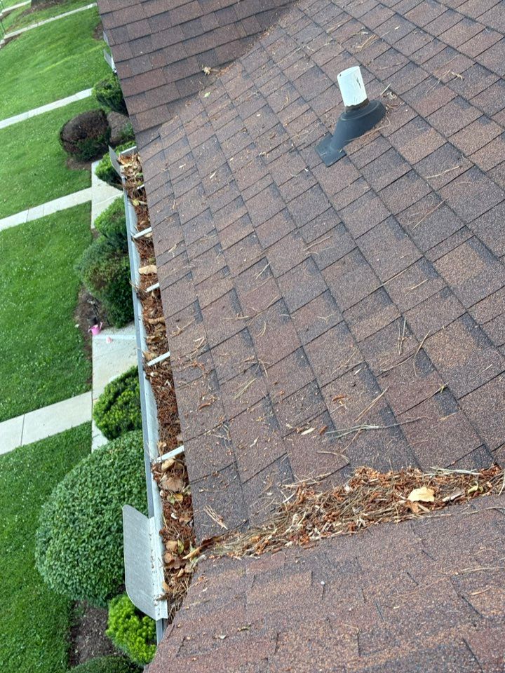 A roof with brown shingles and a gutter filled with leaves.