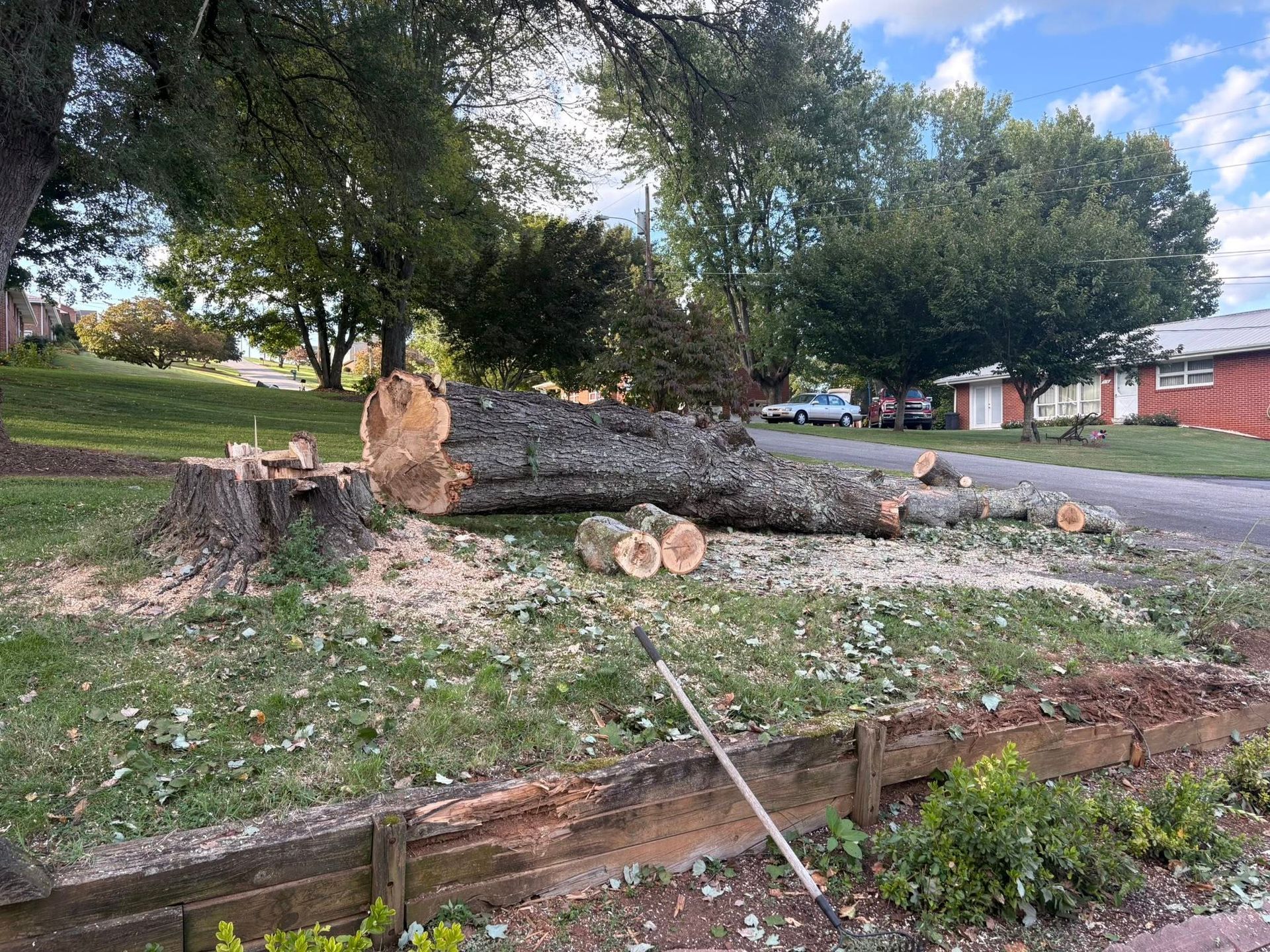 A tree trunk and logs lie on a grassy lawn near a street.