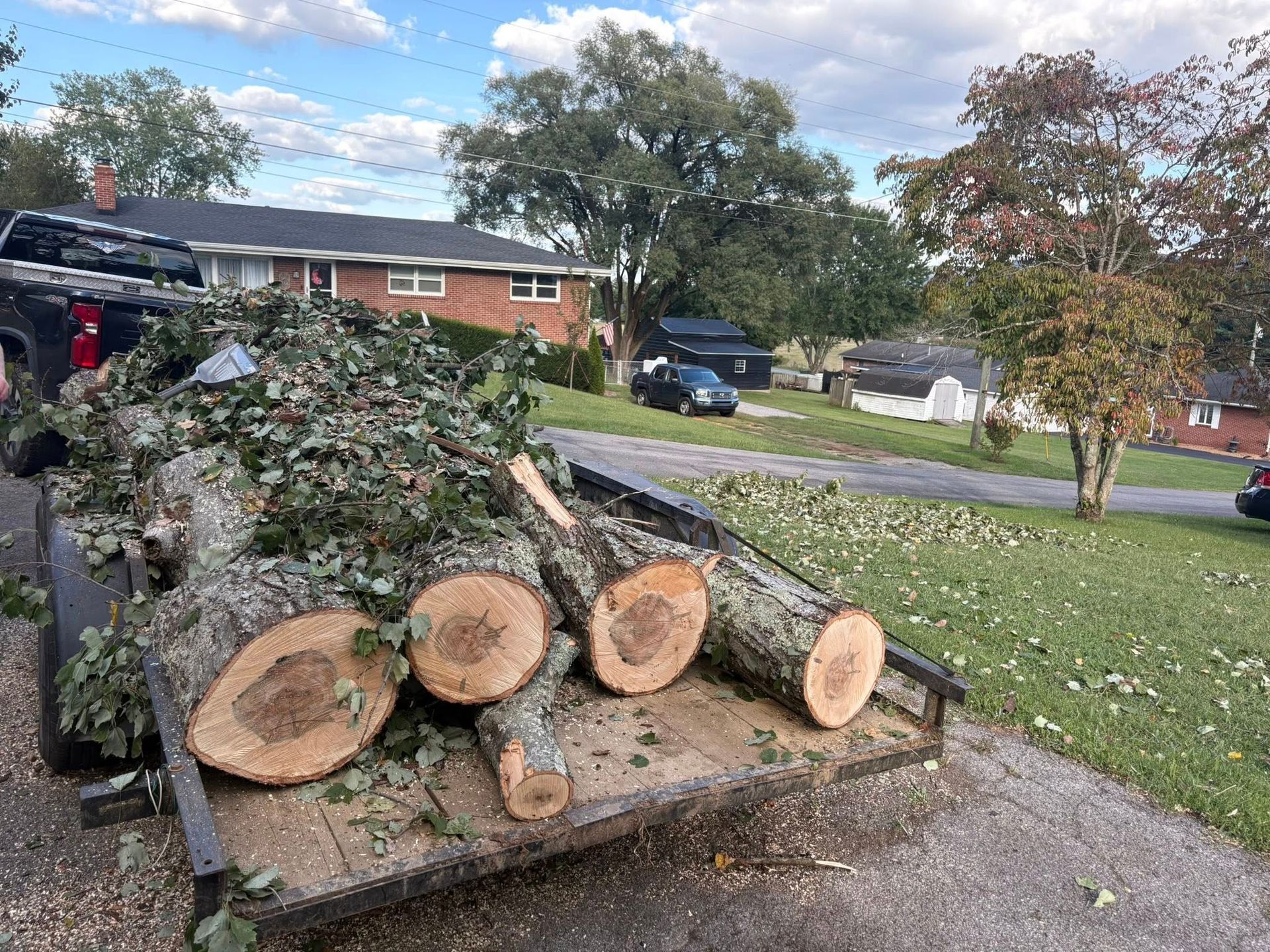 A trailer filled with freshly cut tree logs and branches sits on a driveway.