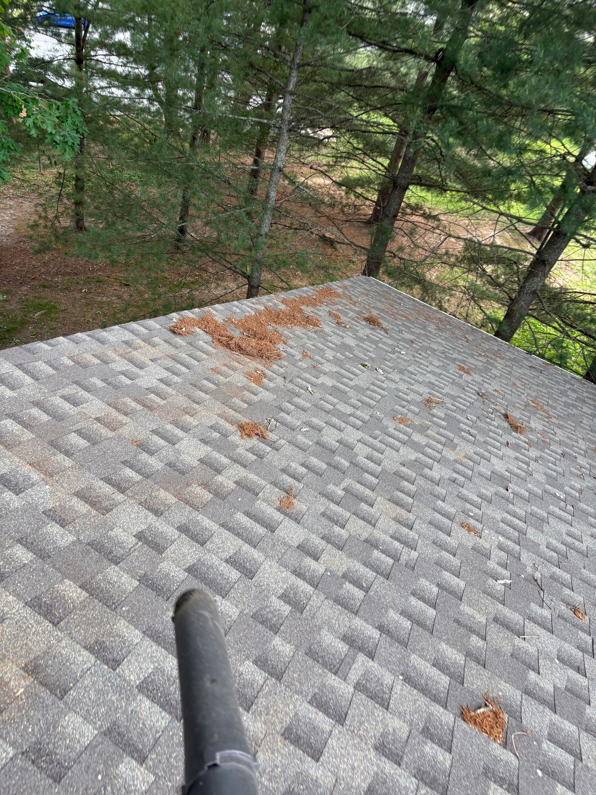 A gray shingled roof with scattered leaves; a blower in the foreground is being used to clean the roof.