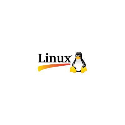 LANWORK LANEVO CONSULTORIA E TERCEIRIZAÇÃO DE TI PIRACICABA - LINUX