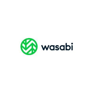 LANWORK LANEVO CONSULTORIA E TERCEIRIZAÇÃO DE TI PIRACICABA - WASABI