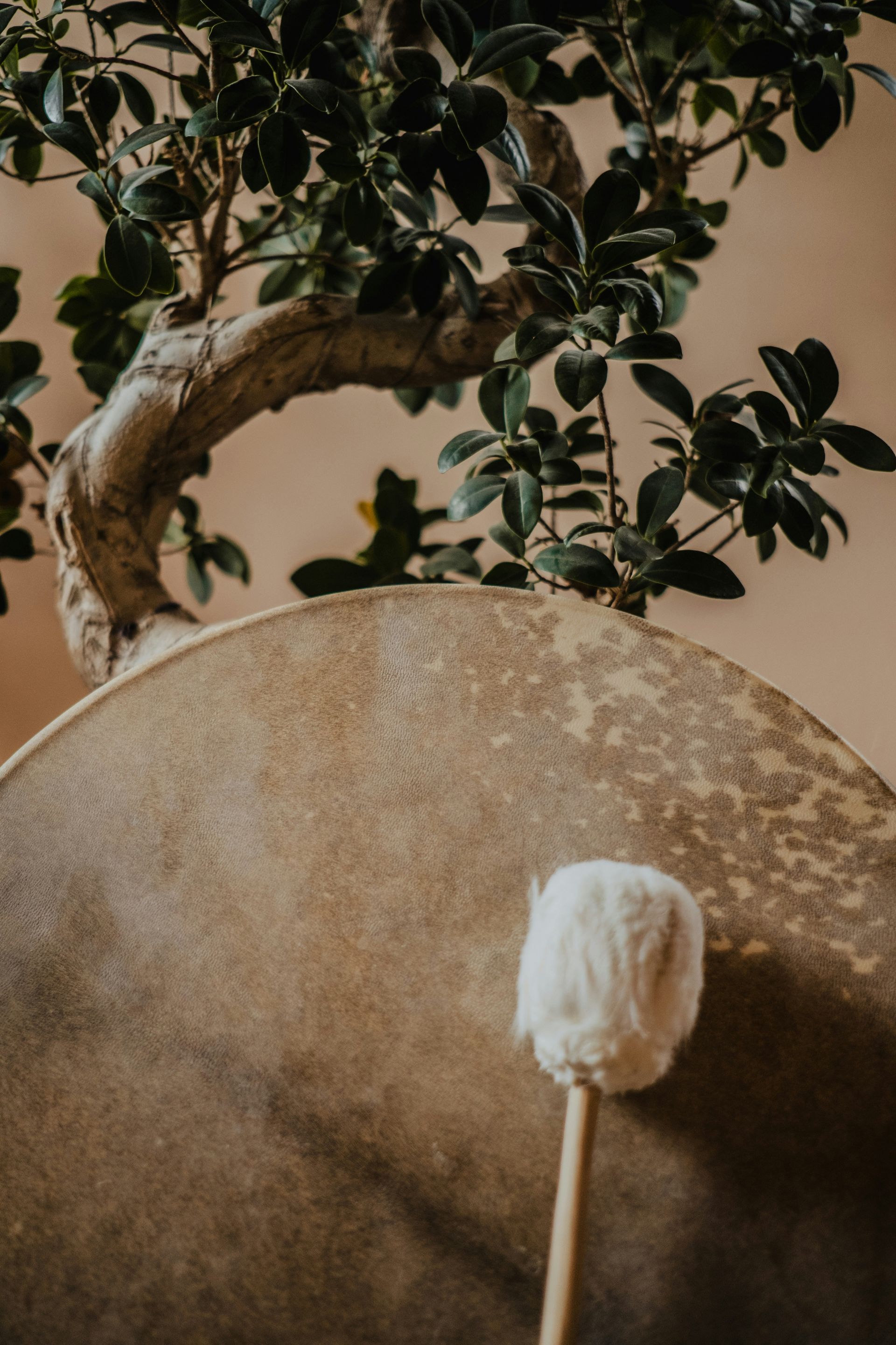 Italy Conscious Kink