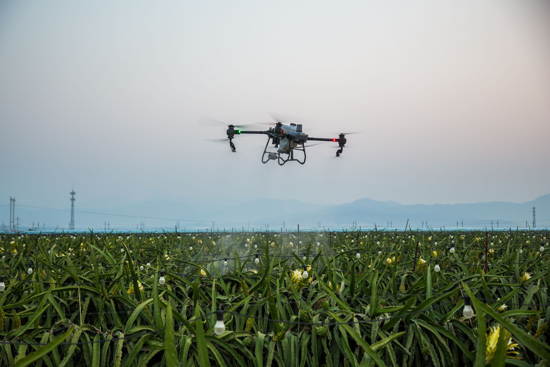 A pulverização por drone está transformando a agricultura de precisão no país.