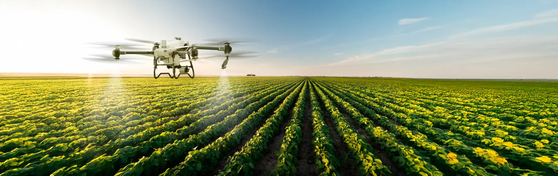 Two drones are spraying fertilizer on a lush green field.