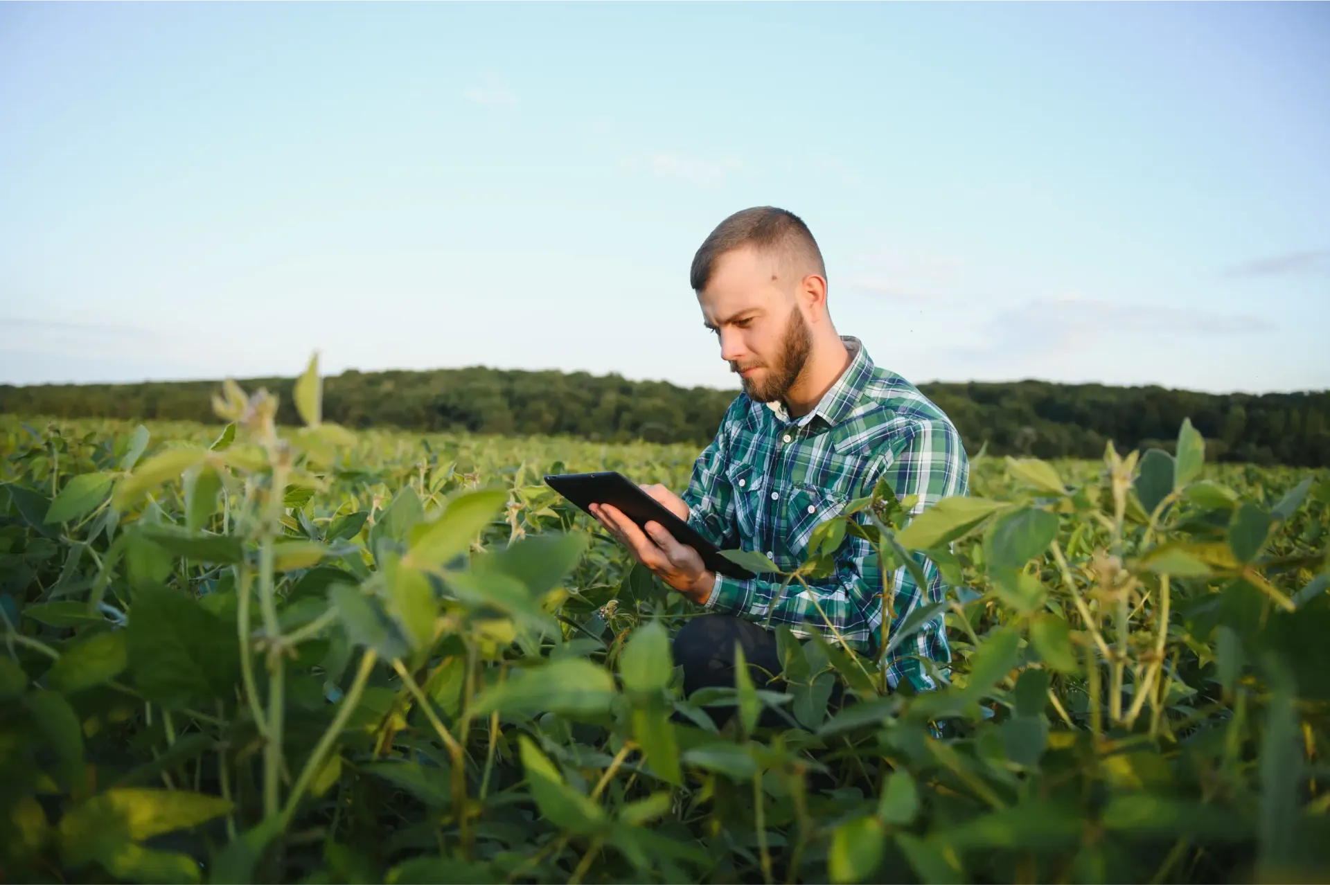 Aplicação Localizada: Utiliza sensores ópticos e visão artificial para detectar plantas daninhas e aplicar defensivos apenas onde necessário.
