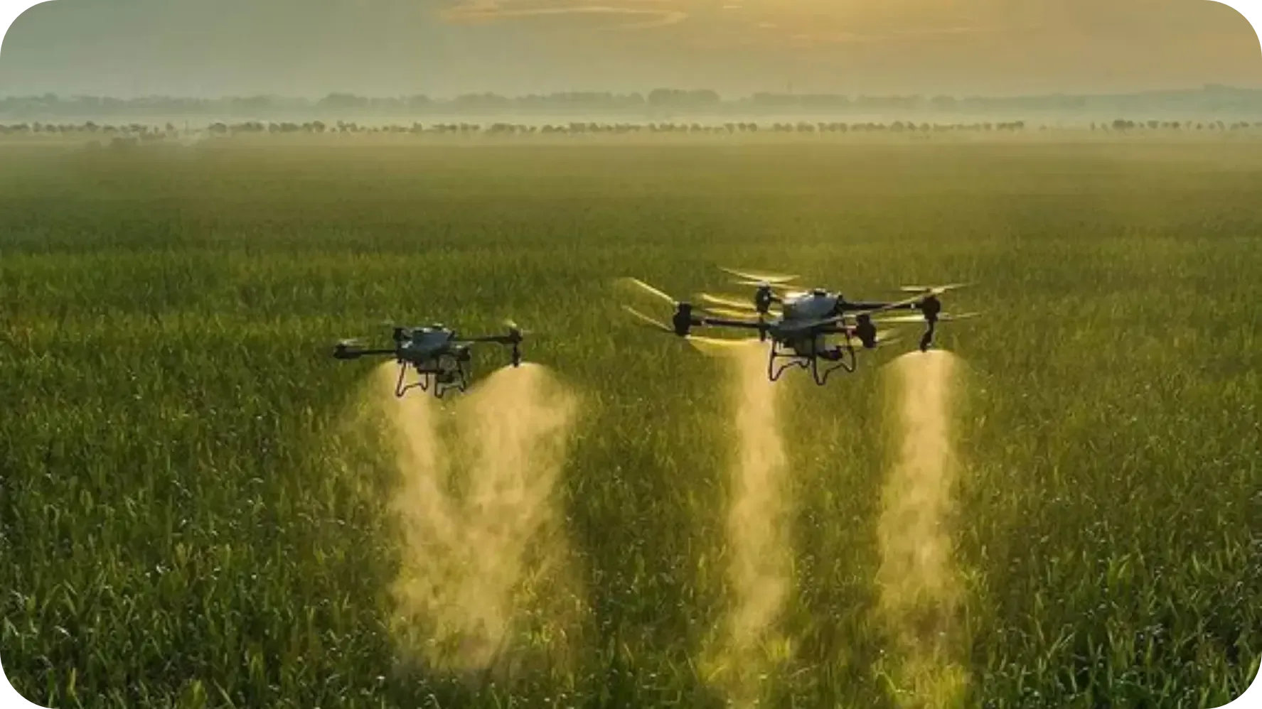 Redução de perdas na aplicação de defensivos agrícolas com a Precision Pulverização de Precisão