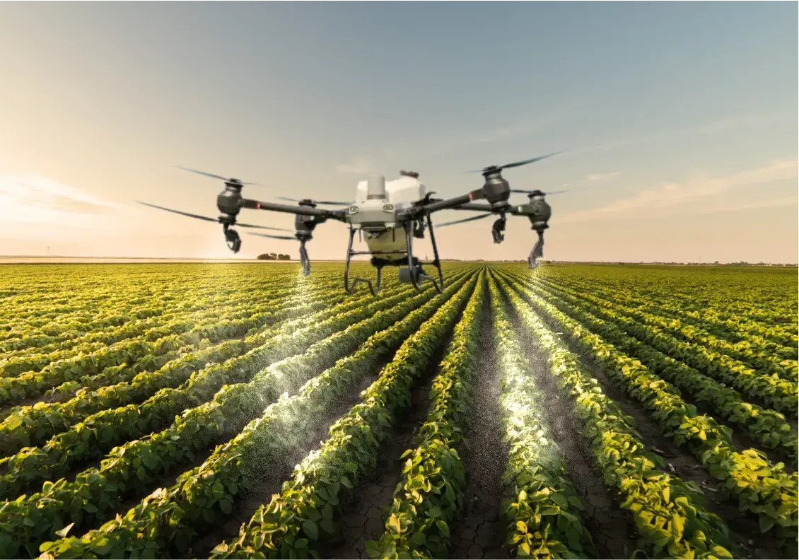 Um drone pulverizando fertilizante em uma plantação de sojas