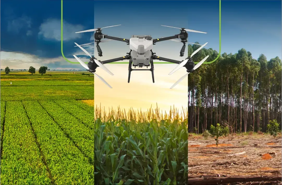 Um drone está voando sobre uma variedade de plantações
