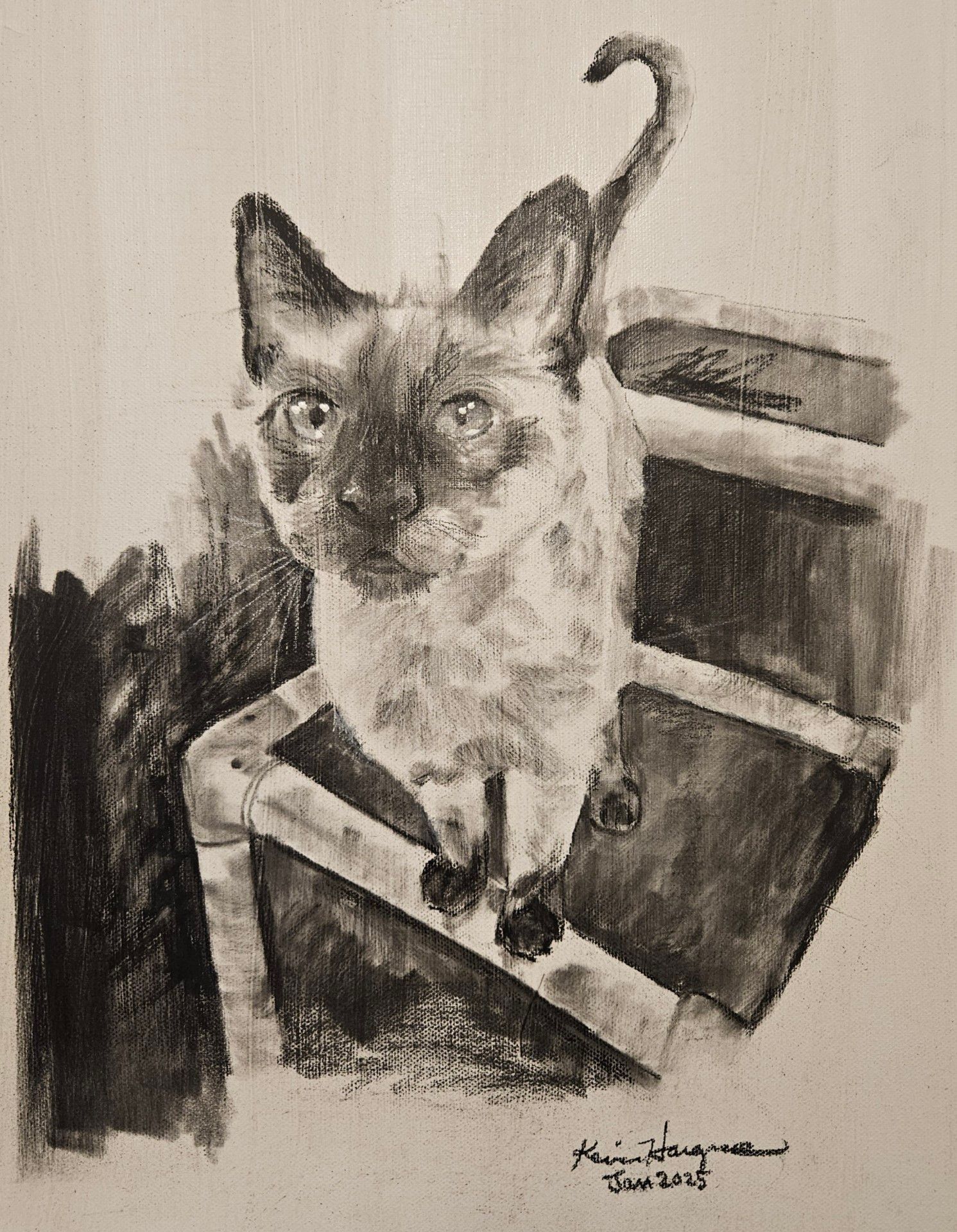 Charcoal by Kevin L Hargrave Artist